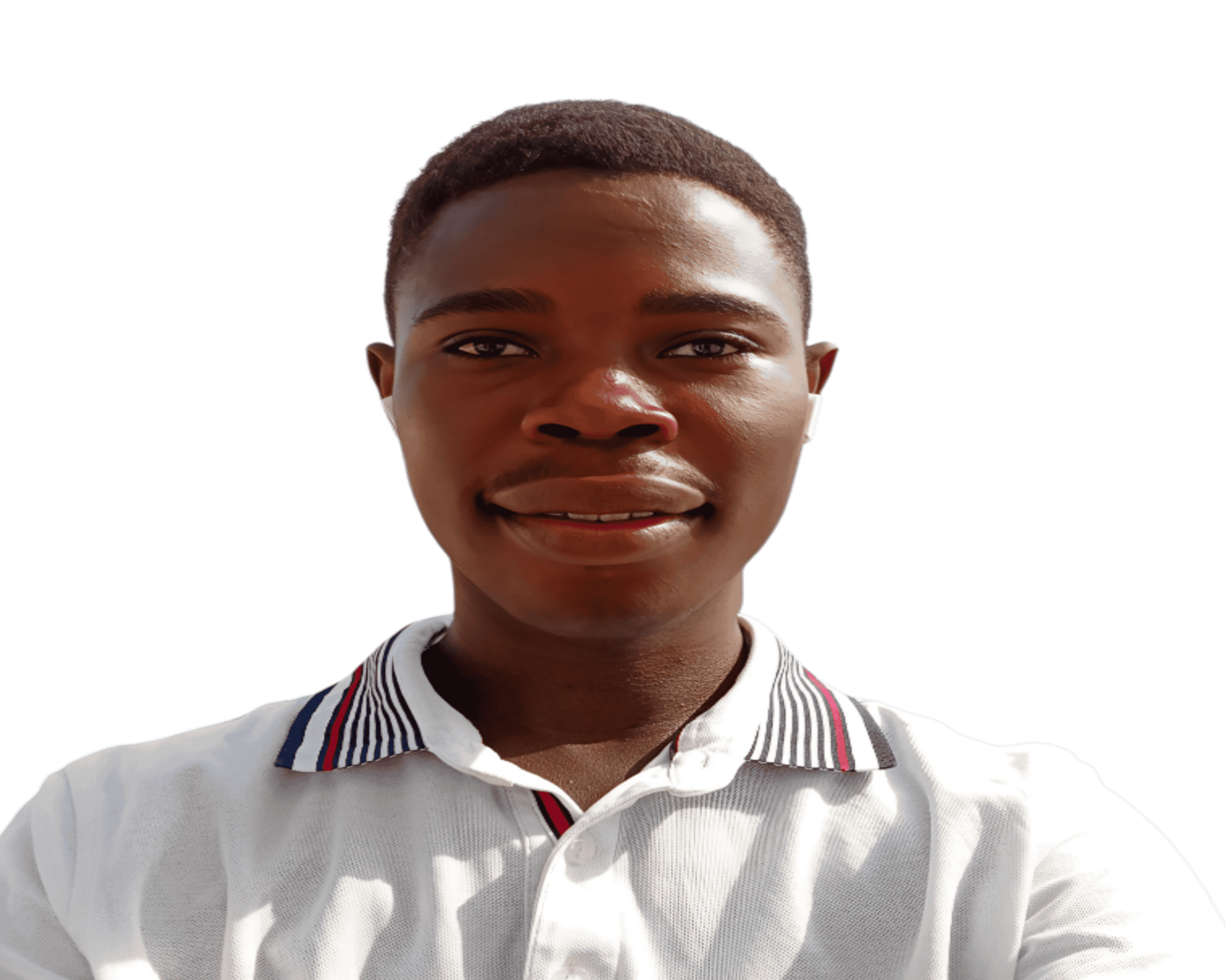 Professional profile photo of Awolesi Victor, Frontend Developer and Software Engineer from Lagos, Nigeria